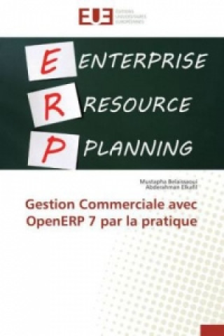 Könyv Gestion Commerciale avec OpenERP 7 par la pratique Mustapha BELAISSAOUI
