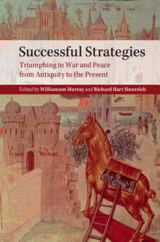 Kniha Successful Strategies Williamson Murray