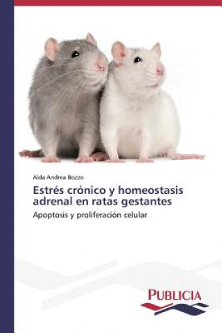 Könyv Estres cronico y homeostasis adrenal en ratas gestantes Aída Andrea Bozzo