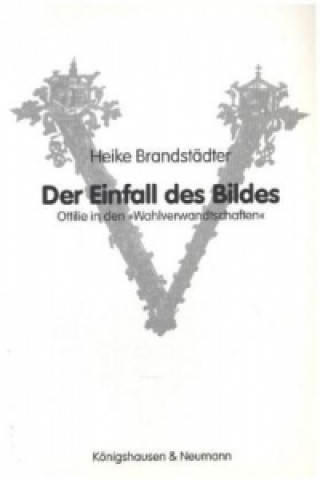 Knjiga Der Einfall des Bildes Heike Brandstädter