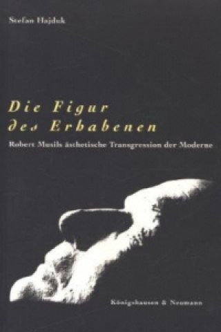 Libro Die Figur des Erhabenen Stefan Hajduk