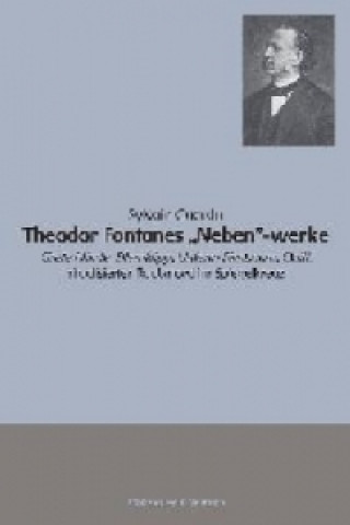 Книга Theodor Fontanes "Neben"-werke Sylvain Guarda