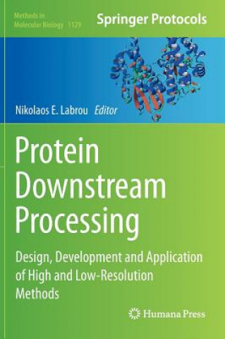 Kniha Protein Downstream Processing Nikolaos Labrou
