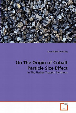 Kniha On The Origin of Cobalt Particle Size Effect Sura Menda Ginting