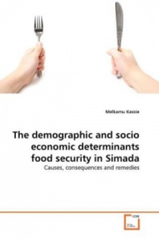 Könyv The demographic and socio economic determinants food security in Simada Melkamu Kassie