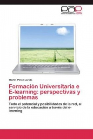 Kniha Formacion Universitaria e E-learning Martín Pérez Lorido