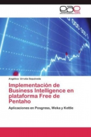 Könyv Implementacion de Business Intelligence en plataforma Free de Pentaho Angélica Urrutia Sepulveda