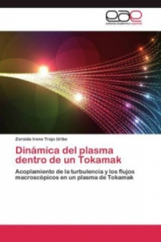 Könyv Dinamica del plasma dentro de un Tokamak Zoraida Irene Trejo Uribe