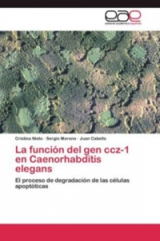 Libro funcion del gen ccz-1 en Caenorhabditis elegans Cristina Nieto