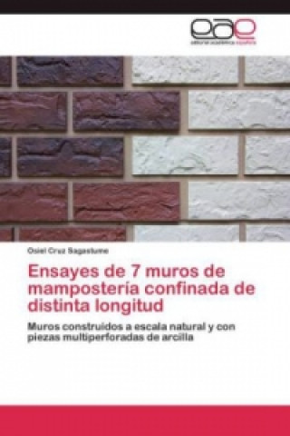 Libro Ensayes de 7 muros de mamposteria confinada de distinta longitud Osiel Cruz Sagastume