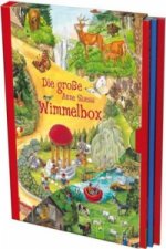 Könyv Die große Anne Suess Wimmelbox, 3 Bde. Anne Suess