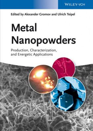 Könyv Metal Nanopowders - Production, Characterization and Energetic Application Alexander Gromov