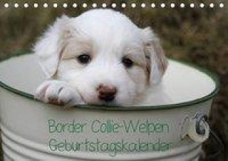 Kalendarz/Pamiętnik Border Collie-Welpen Geburtstagskalender (Tischkalender immerwährend DIN A5 quer) Antje Lindert-Rottke