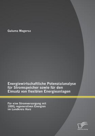 Kniha Energiewirtschaftliche Potenzialanalyse fur Stromspeicher sowie fur den Einsatz von flexiblen Energieanlagen Guluma Megersa