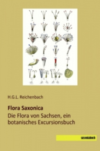 Carte Flora Saxonica H.G.L. Reichenbach