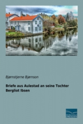 Kniha Briefe aus Aulestad an seine Tochter Bergliot Ibsen Bj