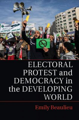 Kniha Electoral Protest and Democracy in the Developing World Emily Beaulieu