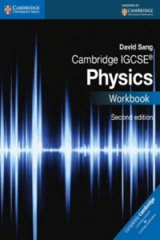 Kniha Cambridge IGCSE (R) Physics Workbook David Sang