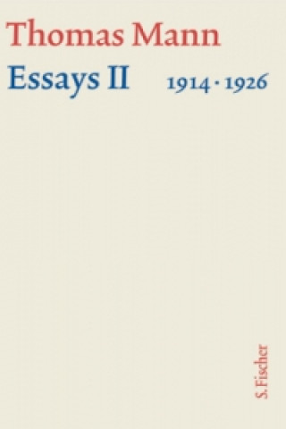 Kniha Essays, m. Kommentar, 2 Bde.. Tl.2 Hermann Kurzke