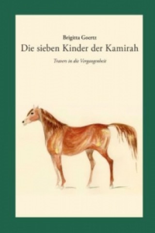 Könyv Die sieben Kinder der Kamirah Brigitta Goertz