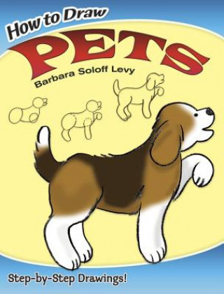 Book How to Draw Pets Barbara Soloff Levy