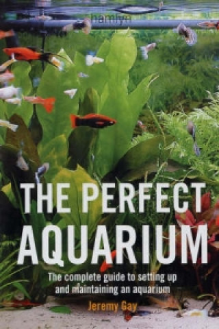Könyv Perfect Aquarium Jeremy Gay