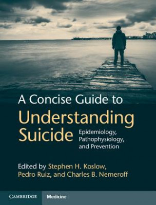 Libro Concise Guide to Understanding Suicide Stephen H. Koslow