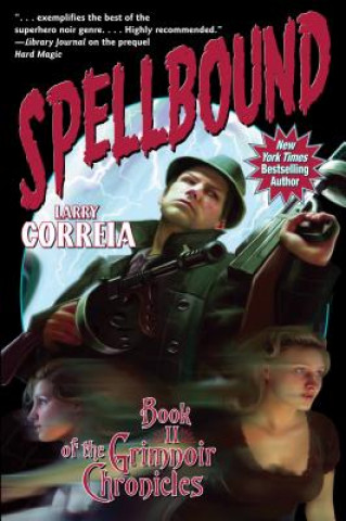 Kniha Spellbound Larry Correia