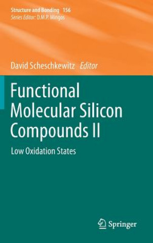 Carte Functional Molecular Silicon Compounds II David Scheschkewitz
