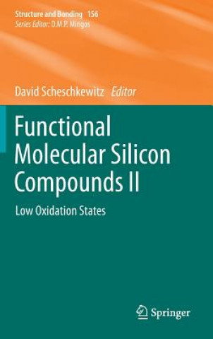 Kniha Functional Molecular Silicon Compounds II David Scheschkewitz