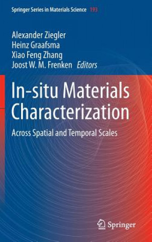 Könyv In-situ Materials Characterization Alexander Ziegler