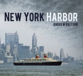 Carte New York Harbor Andrew Britton