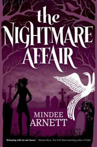 Kniha Nightmare Affair Mindee Arnett