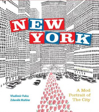 Könyv New York Vladimír Fuka