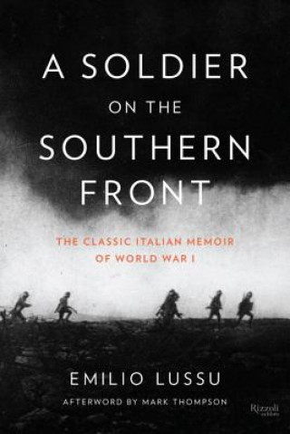 Книга Soldier on the Southern Front Emilio Lussu