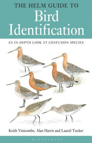 Kniha Helm Guide to Bird Identification Keith Vinicombe