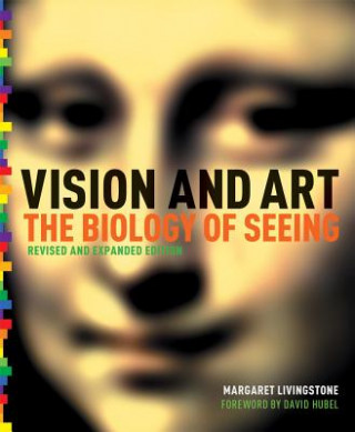 Könyv Vision and Art (Updated and Expanded Edition) Margaret S. Livingstone