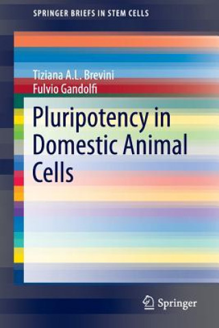 Kniha Pluripotency in Domestic Animal Cells Tiziana A.L. Brevini