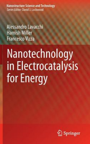 Könyv Nanotechnology in Electrocatalysis for Energy Alessandro Lavacchi