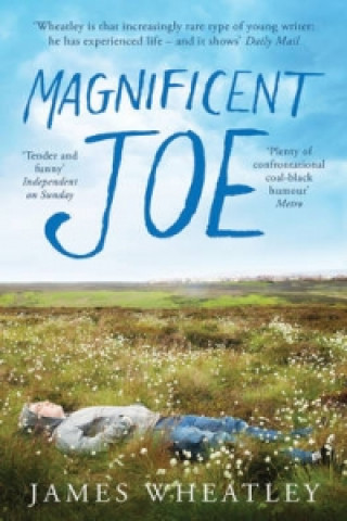 Kniha Magnificent Joe James Wheatley
