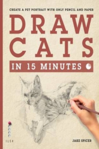 Kniha Draw Cats in 15 Minutes Jake Spicer