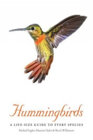 Книга Hummingbirds Michael Fogden