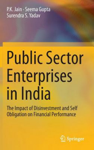 Kniha Public Sector Enterprises in India P. K. Jain