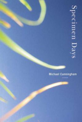 Kniha SPECIMEN DAYS Michael Cunningham