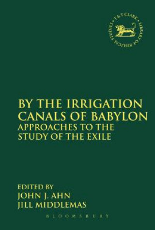 Kniha By the Irrigation Canals of Babylon John J Ahn