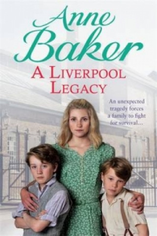Kniha Liverpool Legacy Anne Baker