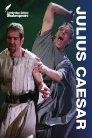 Könyv Julius Caesar Rex Gibson