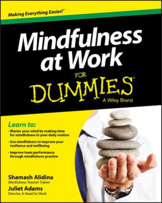 Carte Mindfulness at Work For Dummies Shamash Alidina