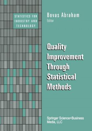 Könyv Quality Improvement Through Statistical Methods Bovas Abraham