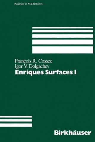 Kniha Enriques Surfaces I F. Cossec